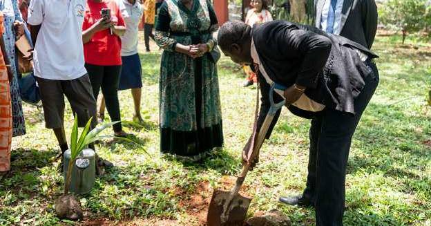 Church members planting trees and practicing environmental stewardship in the Annapolis Valley
